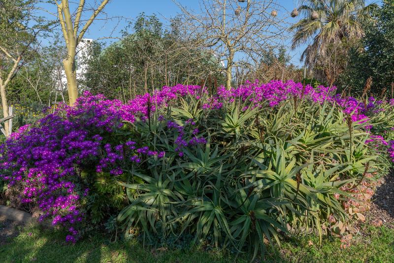 Commercial Property for Sale in Riviersonderend Western Cape